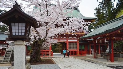 ⛩️ 시오가마 신사 (鹽竈神社) 이미지 2